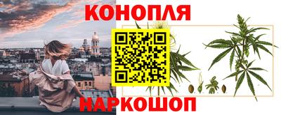 мдпв Рузаевка
