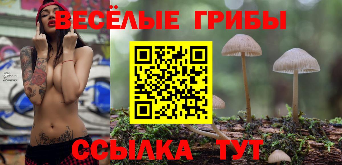 Псилоцибиновые грибы ЛСД Свободный